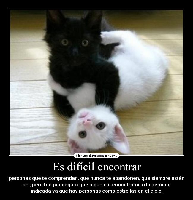 Es difícil encontrar - 