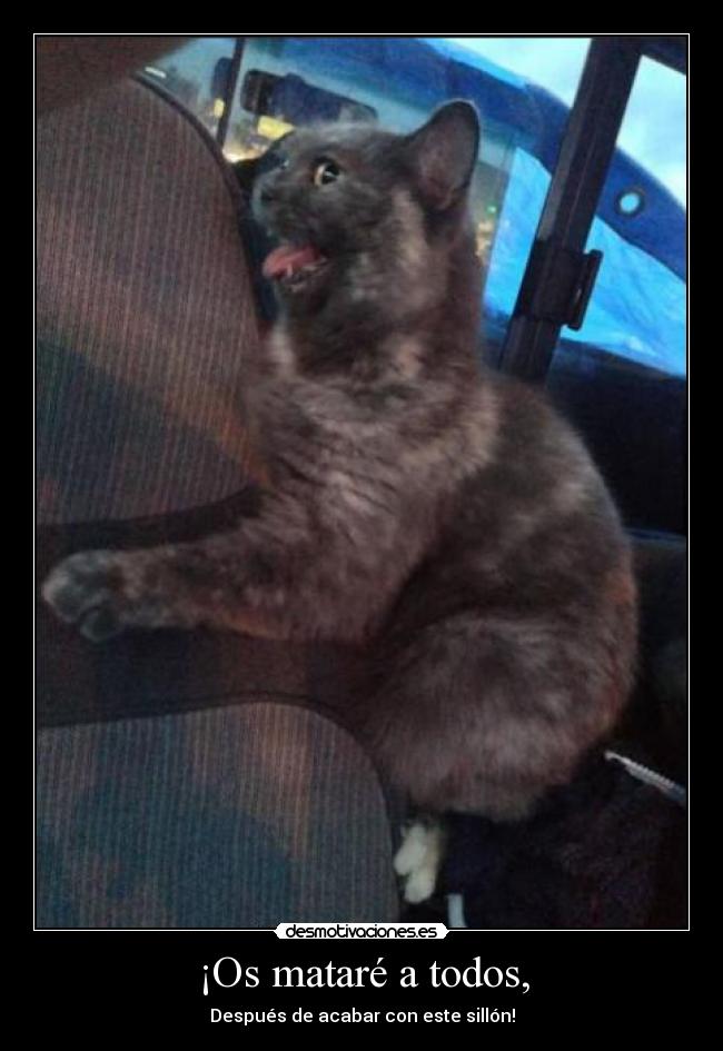 carteles lucialocaderemate desmotivaciones