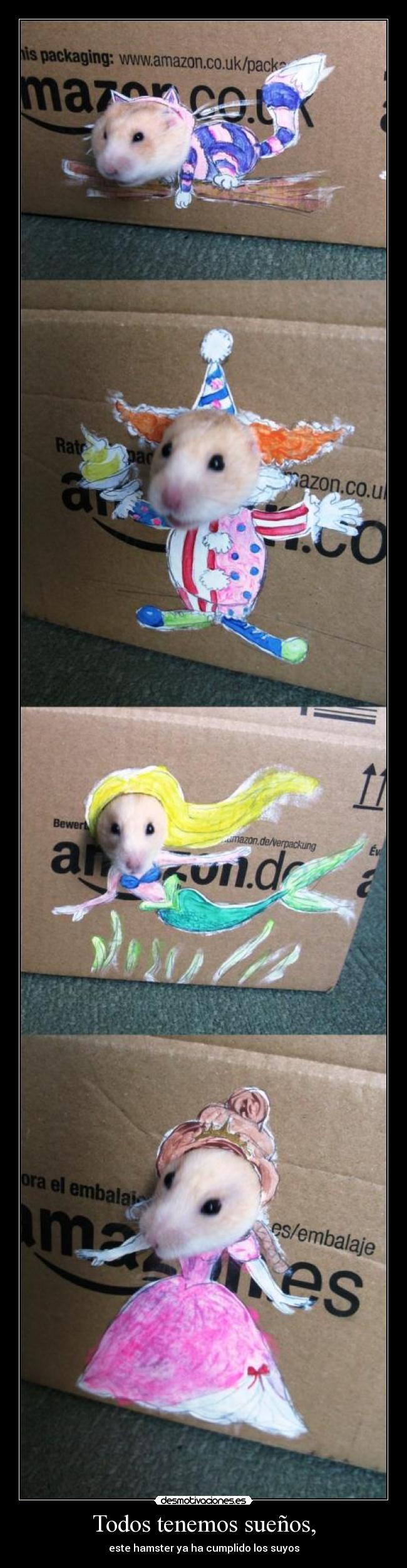 Todos tenemos sueños, - este hamster ya ha cumplido los suyos