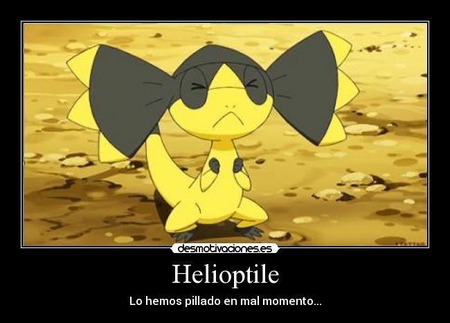Helioptile - Lo hemos pillado en mal momento...