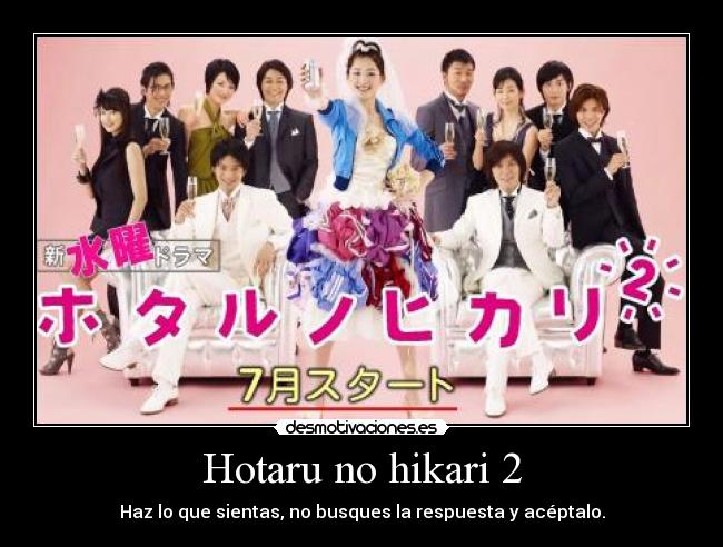 Hotaru no hikari 2 - Haz lo que sientas, no busques la respuesta y acéptalo.