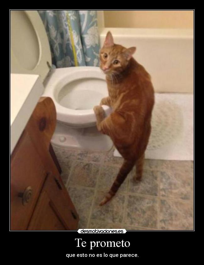 Te prometo - que esto no es lo que parece.