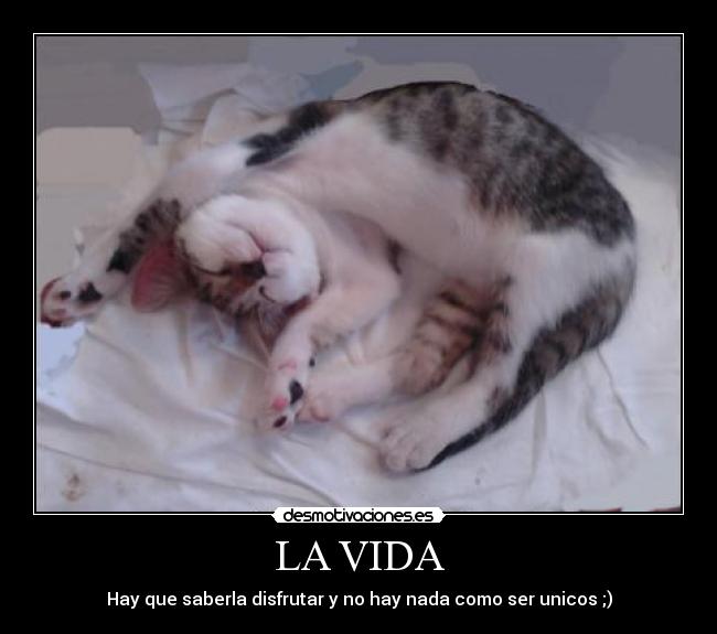 LA VIDA - 