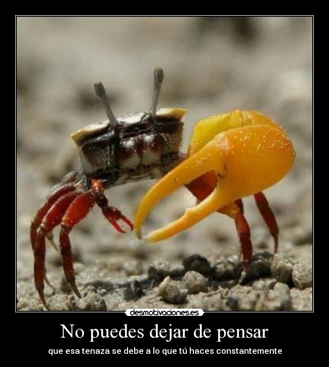 No puedes dejar de pensar - que esa tenaza se debe a lo que tú haces constantemente