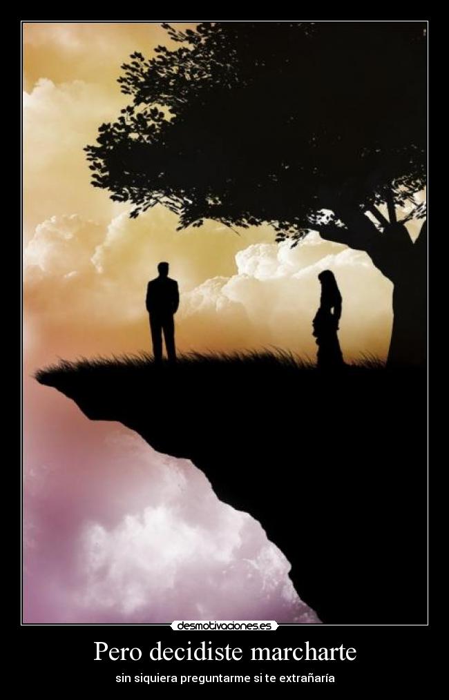 Pero decidiste marcharte -