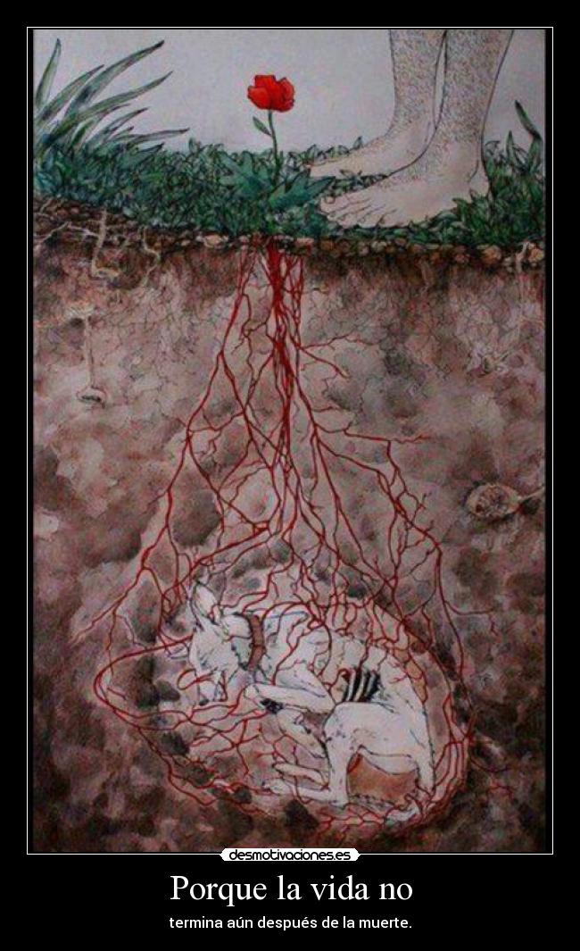 Porque la vida no - 