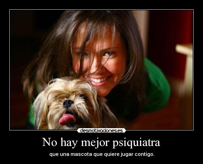 No hay mejor psiquiatra -
