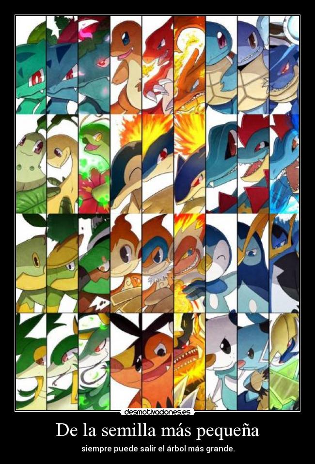De la semilla más pequeña -