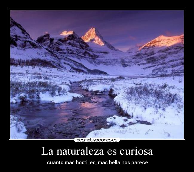 La naturaleza es curiosa - cuánto más hostil es, más bella nos parece