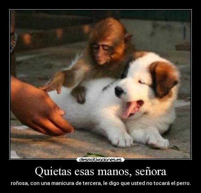 Quietas esas manos, señora -
