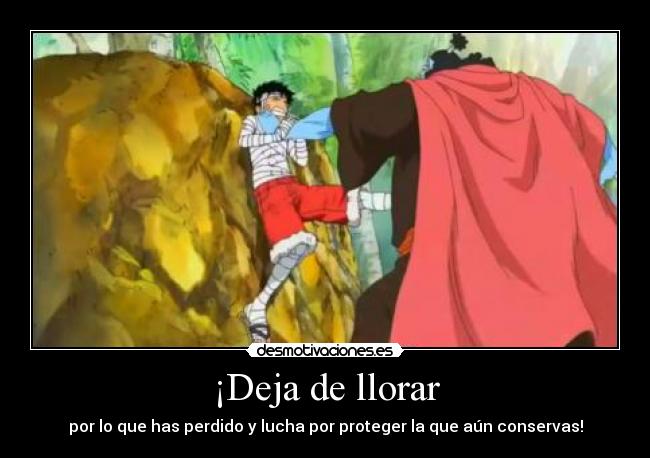 ¡Deja de llorar - por lo que has perdido y lucha por proteger la que aún conservas!