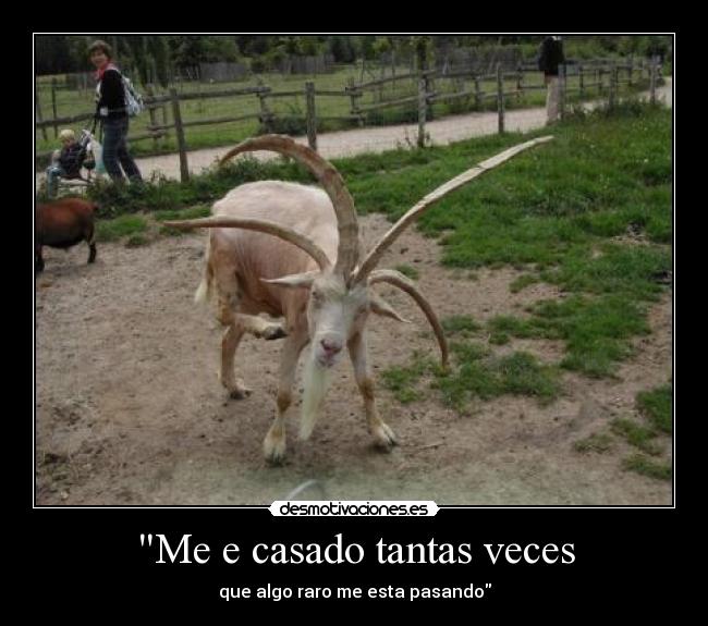 Me e casado tantas veces - 