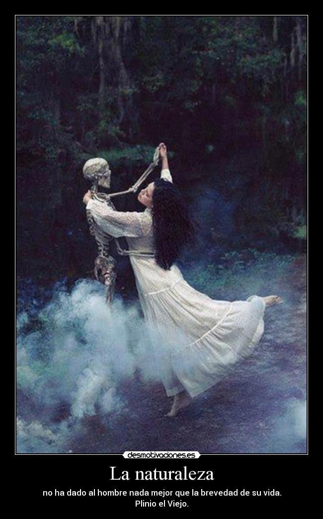 carteles naturaleza muerte desmotivaciones