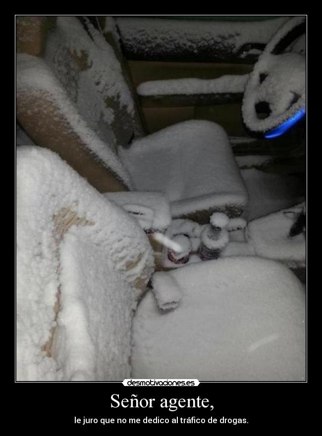Señor agente, -