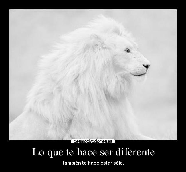 carteles paciente desmotivaciones