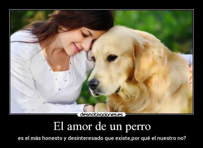 El amor de un perro - es el más honesto y desinteresado que existe,por qué el nuestro no?