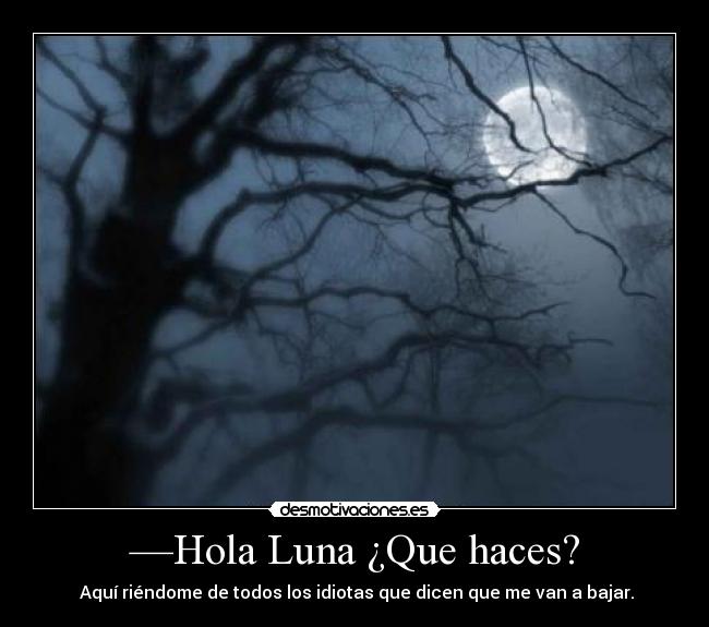 carteles hola luna desmotivaciones
