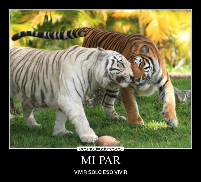 carteles mundo desmotivaciones