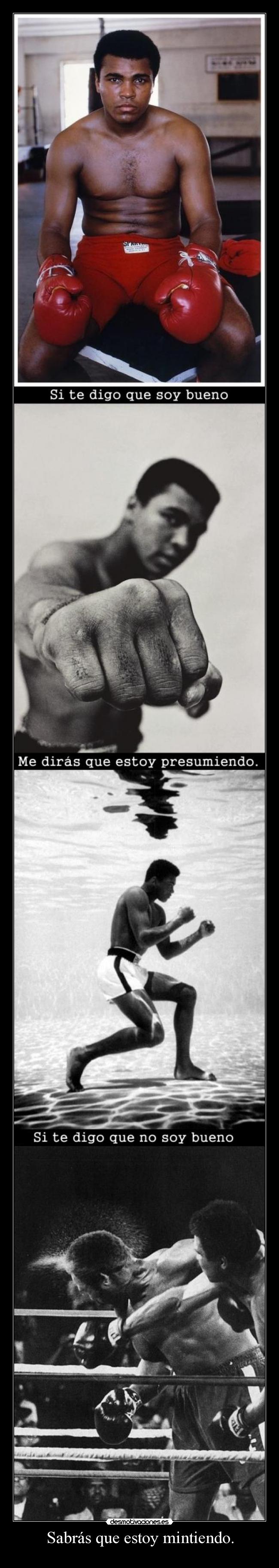 Sabrás que estoy mintiendo. - 