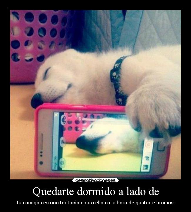 Quedarte dormido a lado de - 