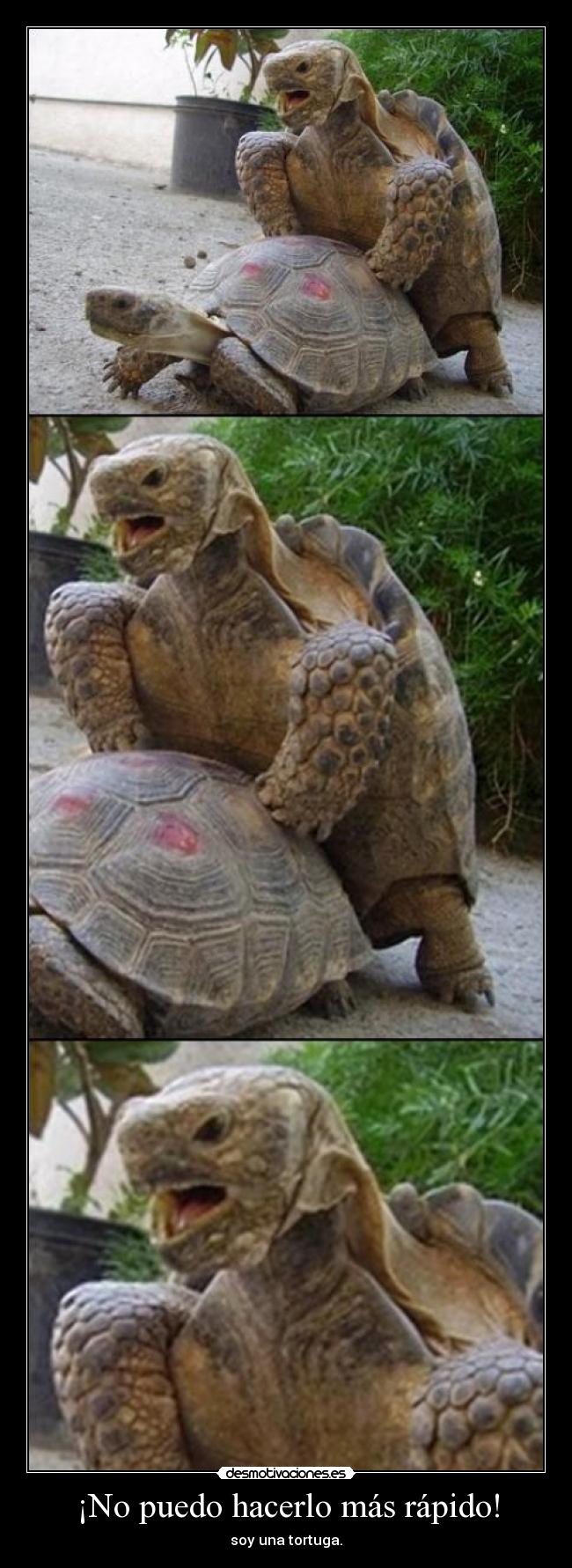 ¡No puedo hacerlo más rápido! -