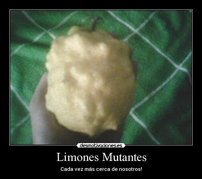 Limones Mutantes - Cada vez más cerca de nosotros!
