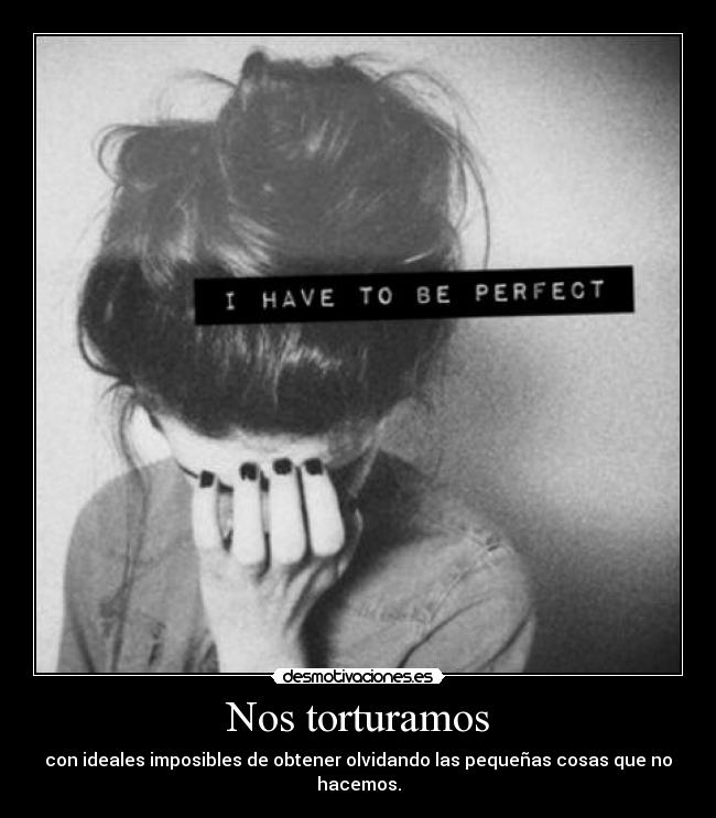 carteles tortura soy mujer duden perfecta soy pero objetivo soy ave voladora santi desmotivaciones