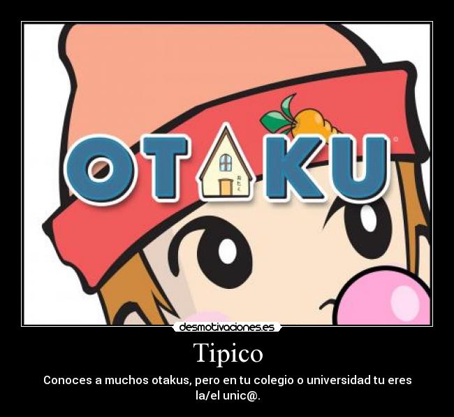 Tipico - Conoces a muchos otakus, pero en tu colegio o universidad tu eres la/el unic@.