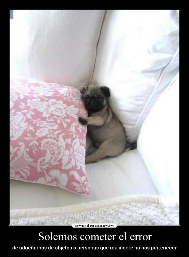 Solemos cometer el error -