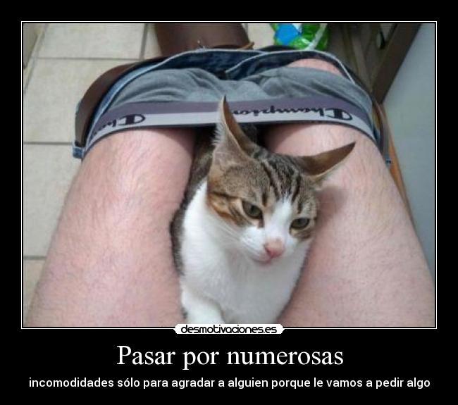 Pasar por numerosas - incomodidades sólo para agradar a alguien porque le vamos a pedir algo