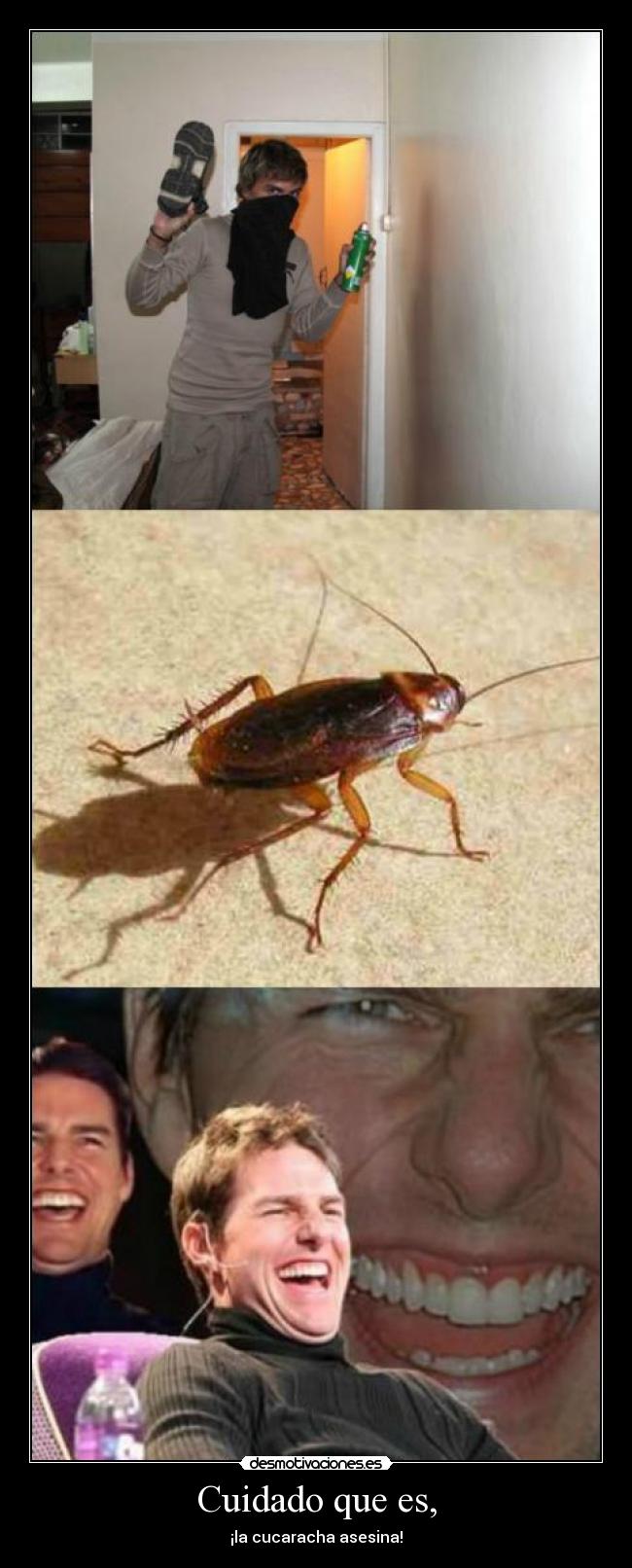 Cuidado que es, - ¡la cucaracha asesina!