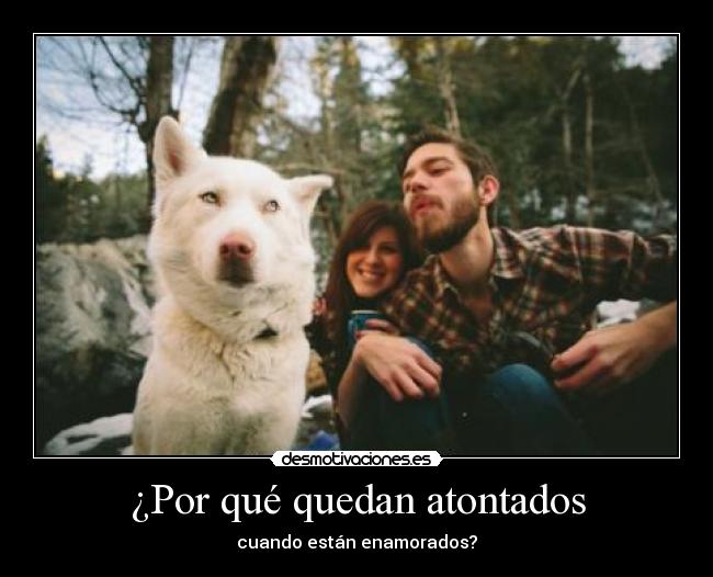 ¿Por qué quedan atontados -