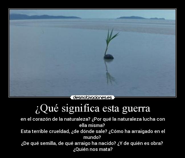 ¿Qué significa esta guerra - en el corazón de la naturaleza? ¿Por qué la naturaleza lucha con ella misma? 
Esta terrible crueldad, ¿de dónde sale? ¿Cómo ha arraigado en el mundo? 
¿De qué semilla, de qué arraigo ha nacido? ¿Y de quién es obra? 
¿Quién nos mata?