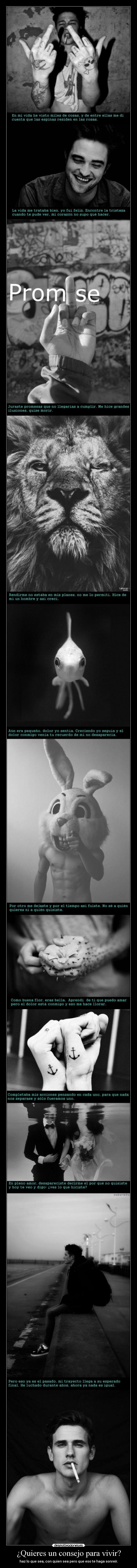 carteles unicorniosfelices locurapensativa clonespower theinmortals clandominadores blackcrows desmotivaciones