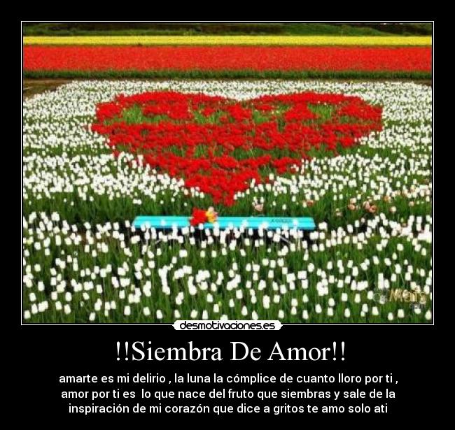 !!Siembra De Amor!! - amarte es mi delirio , la luna la cómplice de cuanto lloro por ti ,
amor por ti es  lo que nace del fruto que siembras y sale de la
inspiración de mi corazón que dice a gritos te amo solo ati