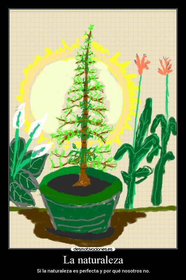La naturaleza - Sí la naturaleza es perfecta y por qué nosotros no.