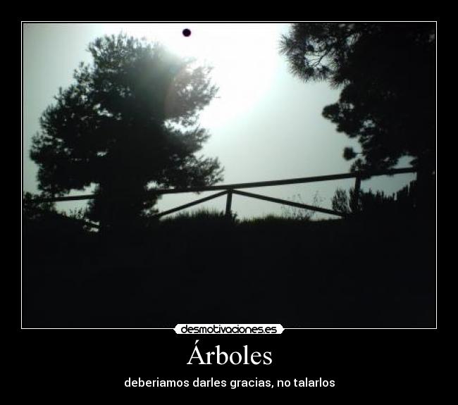 Árboles - deberiamos darles gracias, no talarlos