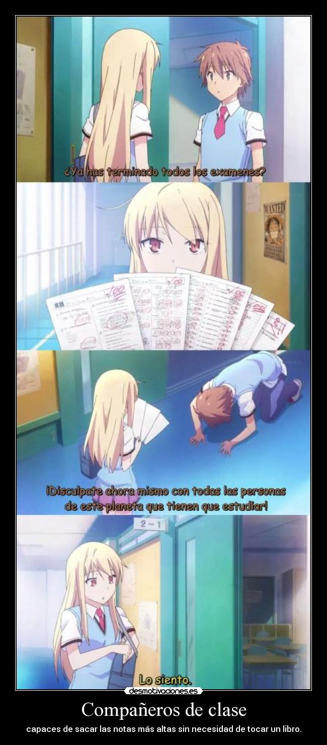 Compañeros de clase -