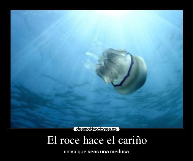 El roce hace el cariño - 