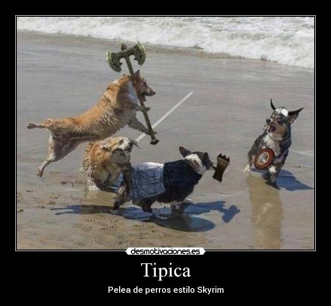 Tipica - 