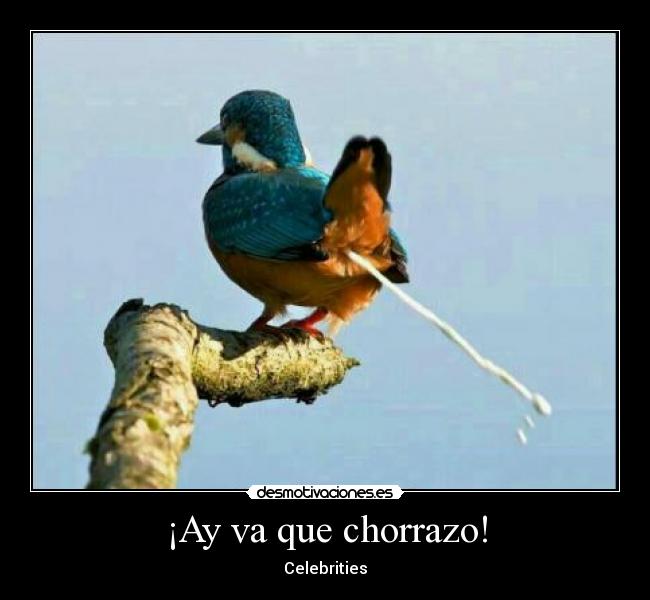 ¡Ay va que chorrazo! - 