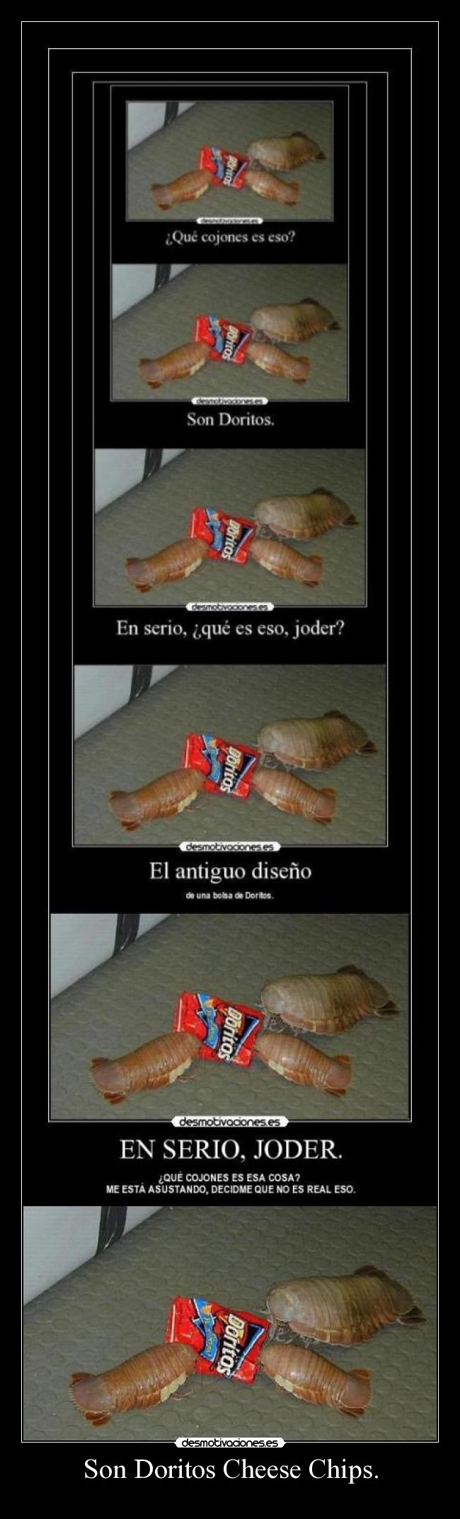 carteles tomaquetoma fuente ponyta justiceleague xorrada mauzer amo desmotivaciones