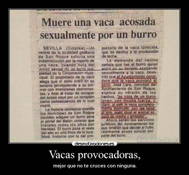 Vacas provocadoras, -