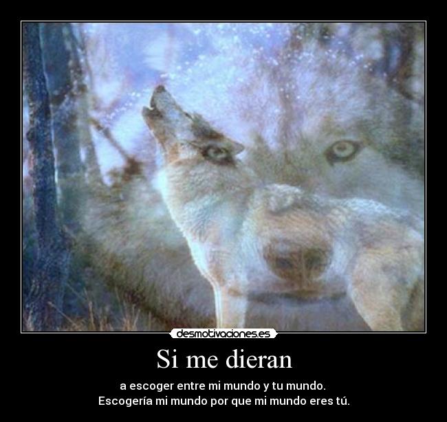 Si me dieran -