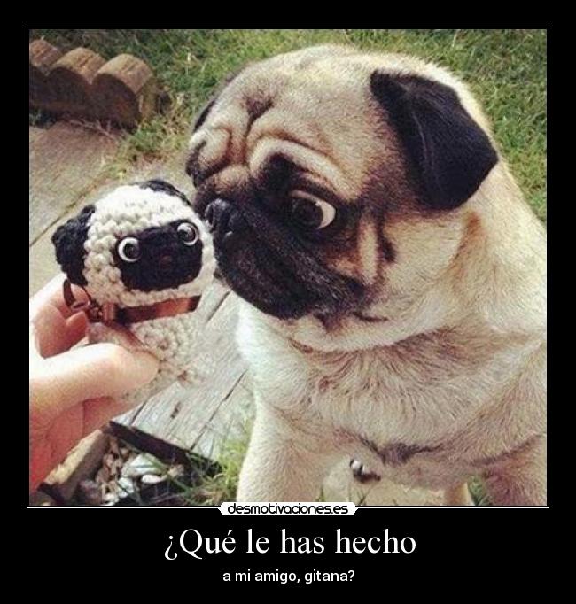 ¿Qué le has hecho - a mi amigo, gitana?