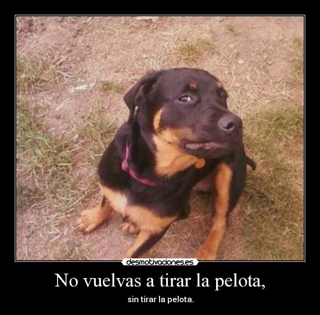 No vuelvas a tirar la pelota, - sin tirar la pelota.