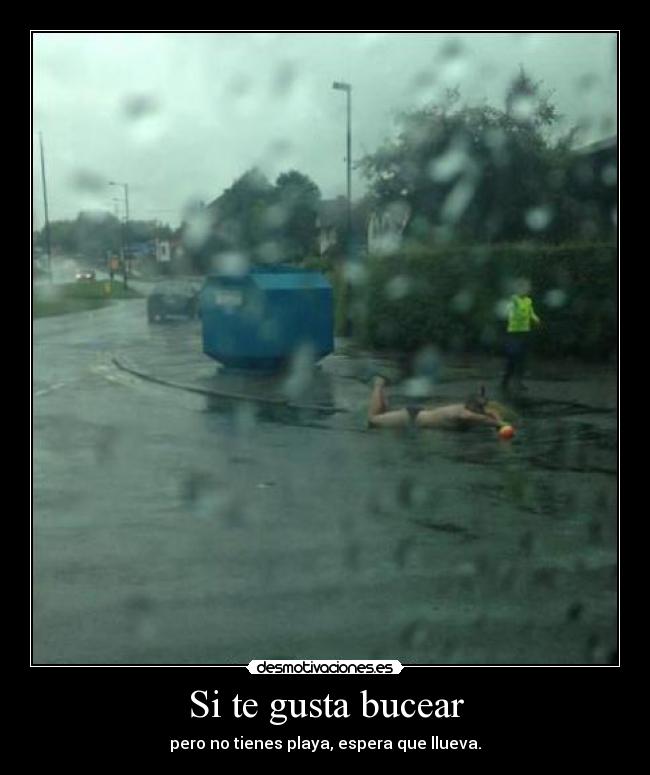 Si te gusta bucear - 