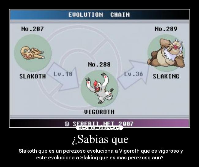 ¿Sabias que - Slakoth que es un perezoso evoluciona a Vigoroth que es vigoroso y
éste evoluciona a Slaking que es más perezoso aún?