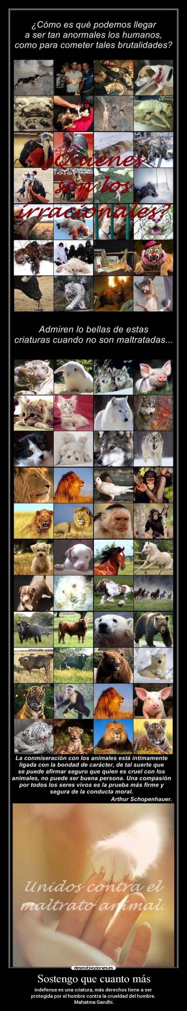 Sostengo que cuanto más - 