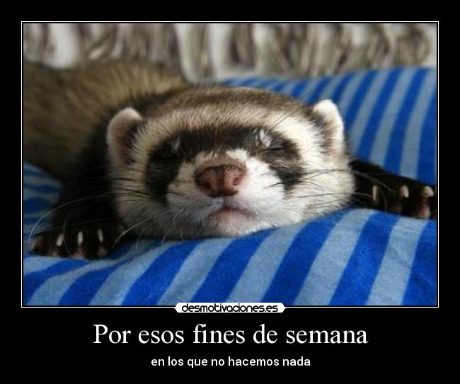Por esos fines de semana - 
